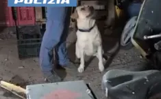 Scoperta base per lo spaccio a Patern&ograve;: arrestato un 21enne di Biancavilla con crack e marijuana
