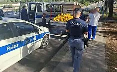Chili di frutta privi di tracciabilit&agrave; a Patern&ograve;: scatta blitz della Polizia e del Corpo Forestale, sequestri e multe per oltre 13mila euro