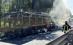 Prende fuoco un autobus dell'Amts sull'Asse dei servizi: passeggeri salvi, ma una mattinata di traffico in tilt