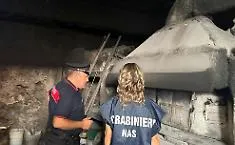 Locali sporchi e cibi mal conservati: una trattoria multata e un panificio chiuso