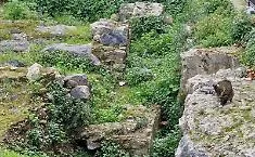 Accordo tra Comune di Catania e la Soprintendenza per i reperti archeologici alla Civita