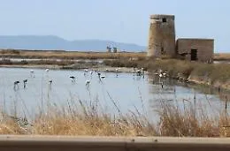 Le Saline di Sicilia candidate a riserva della biosfera Unesco