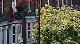 Sequestrato sfugge alla banda lanciandosi dal balcone su un albero: il video