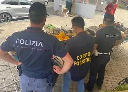 Sequestrati oltre 230 chili di ortofrutta non tracciata: sanzioni per 12.300 euro a due ambulanti
