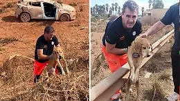 Tornado a Marsala, i volontari Anpas salvano anche un cagnolino: il gesto di Giorgio