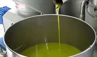 In mezza Sicilia si ferma la raccolta delle olive: &laquo;A 6,70 euro al kg non copriamo le spese&raquo;, Comuni con gli agricoltori
