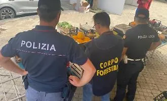 Sequestrati oltre 230 chili di ortofrutta non tracciata: sanzioni per 12.300 euro a due ambulanti