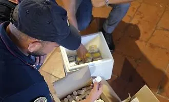 Smantellato a Caltagirone un deposito di farmaci e sostanze dopanti: 5.471 confezioni sequestrate e un arresto