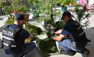 Tre denunciati a Caltagirone: sequestrate dieci piante di marijuana e ritirati cinque fucili