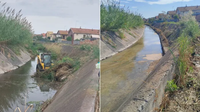 torrente forcile