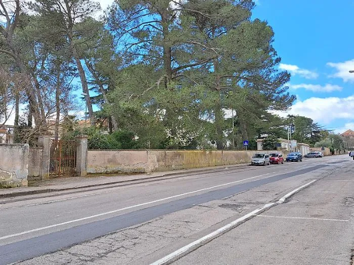 Parco Dubini: ramo caduto riapre il dibattito sulla sicurezza e fa svanire le speranze di una riapertura