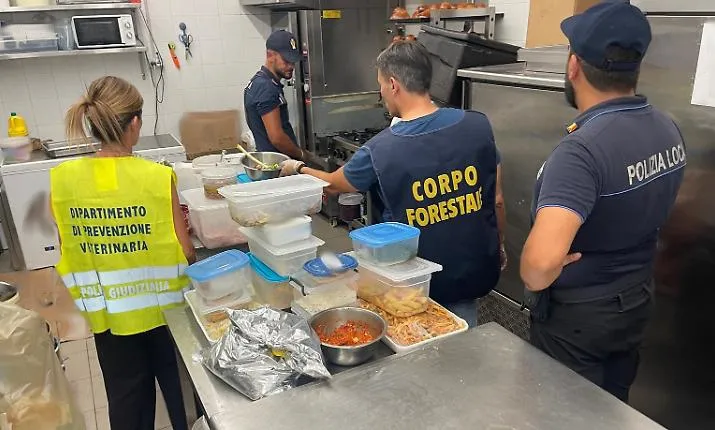 Catania, sequestrati e distrutti 210 chili di alimenti in un bar: non erano idonei alla commercializzazione